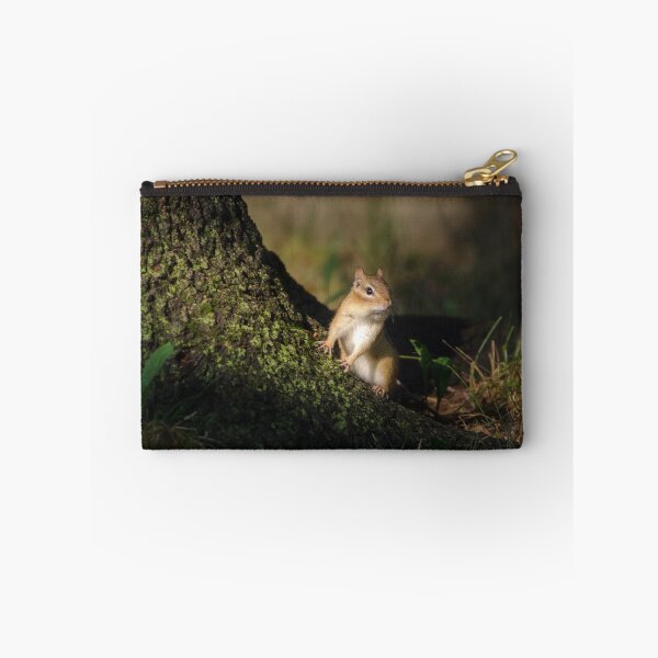 Item preview, Eastern Chipmunk in evening light at the base of a tree designed and sold by rodmacpherson.