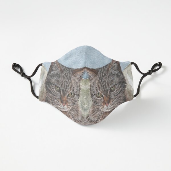 Toast the Tabby Cat Fitted 3-Layer