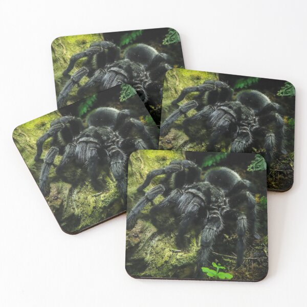 Item preview, Creepy Crawler designed and sold by JGaelic.