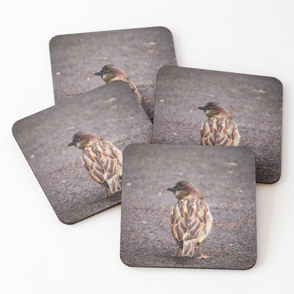 Item preview, Simple Sparrow designed and sold by JGaelic.