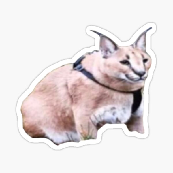 Floppa Cat Sticker - Floppa Cat Caracal - Discover & Share GIFs