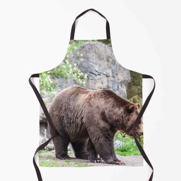 Aperçu de l'œuvre Ours brun créée et vendue par laughlinstudio.