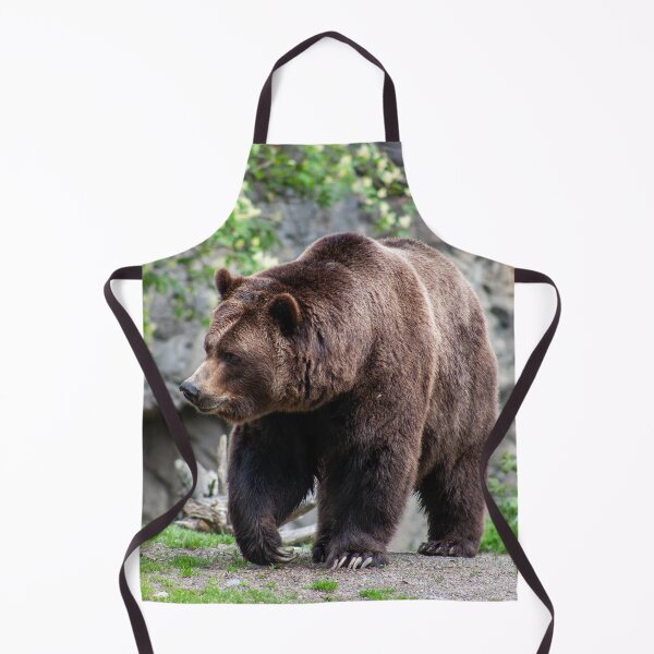 Aperçu de l'œuvre Ours brun créée et vendue par laughlinstudio.