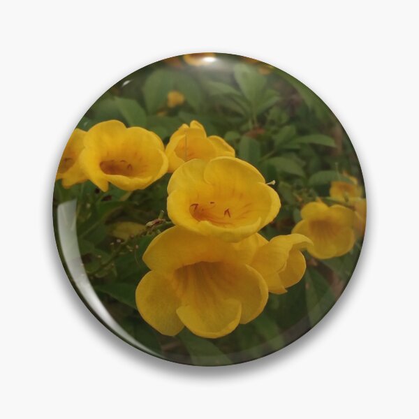 Item preview, yellow bush designed and sold by Pirayz.