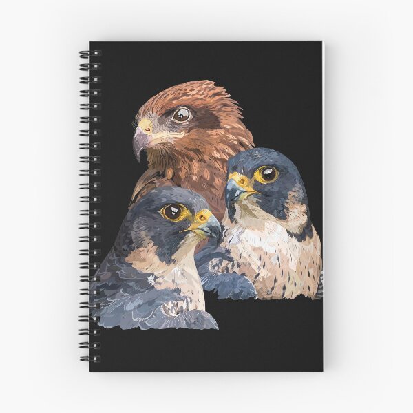Item preview, Hawks designed and sold by obscurite.