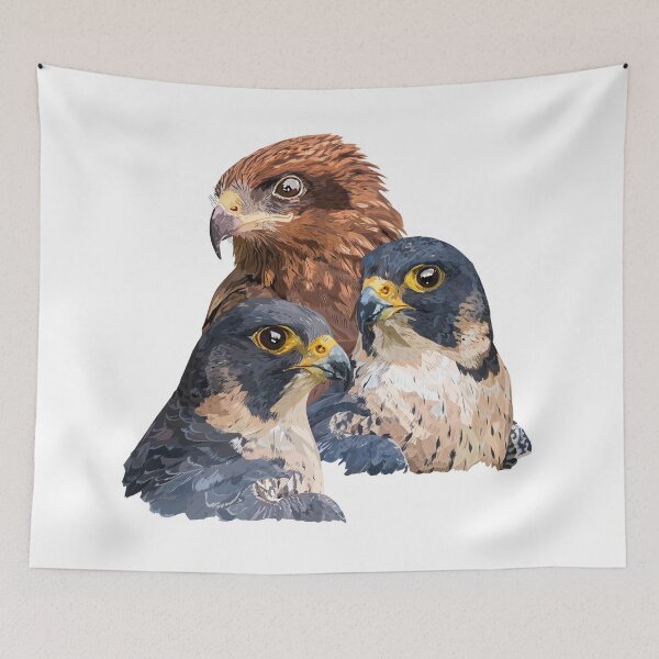 Item preview, Hawks designed and sold by obscurite.