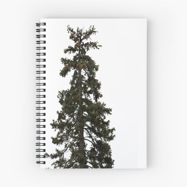 Item preview, Colorado Blue Spruce designed and sold by amickable.