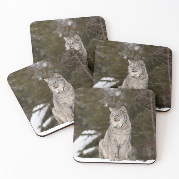 Item preview, Wild Canada Lynx designed and sold by mlorenz.