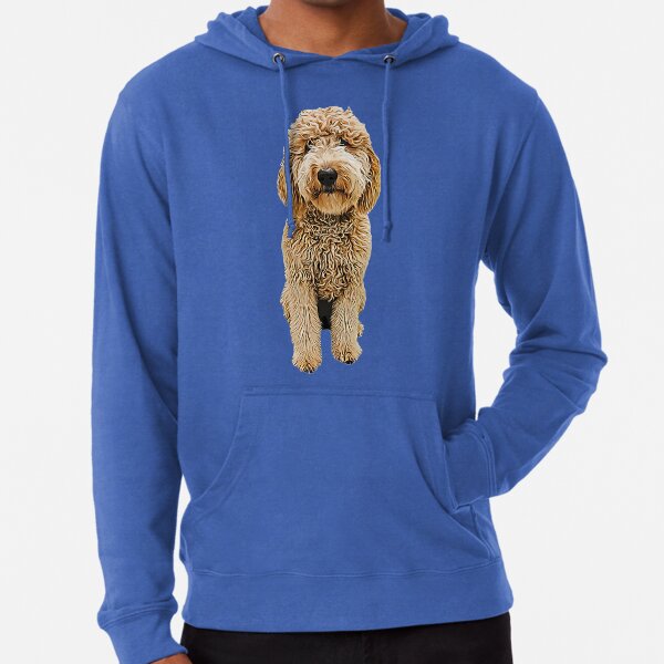 goldendoodle sweater