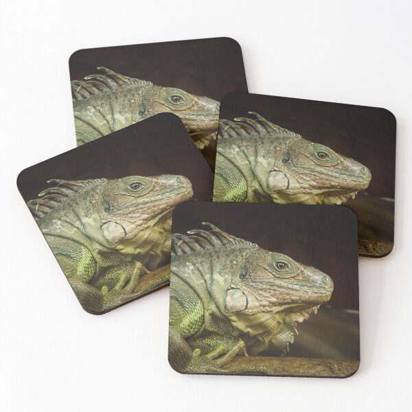 Item preview, Iguana  designed and sold by JGaelic.