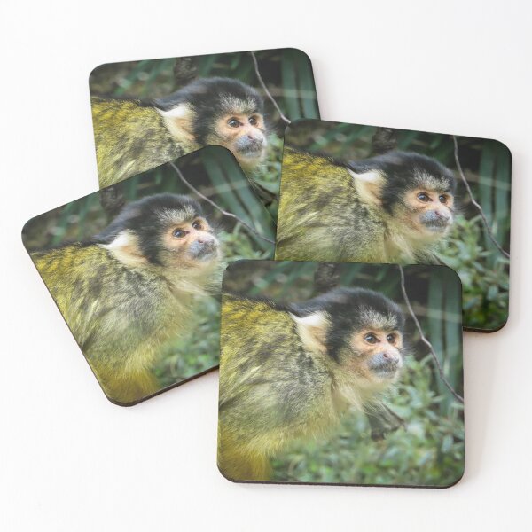 Item preview, Lil Monkey designed and sold by JGaelic.