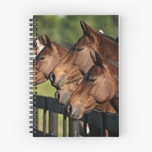 Item preview, Horses  designed and sold by DriveModern.