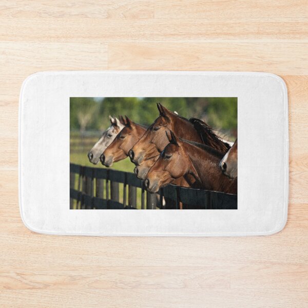 Item preview, Caballos designed and sold by DriveModern.