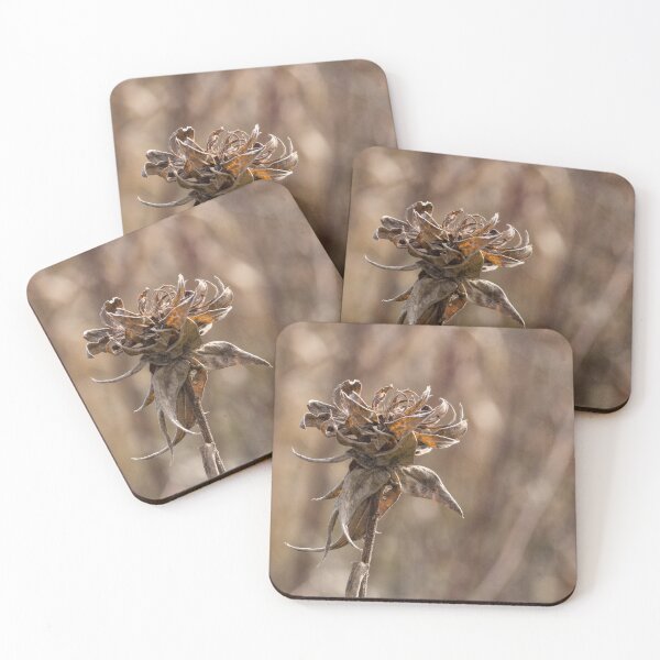 Item preview, Crunchy designed and sold by YelloCoyote Photography.