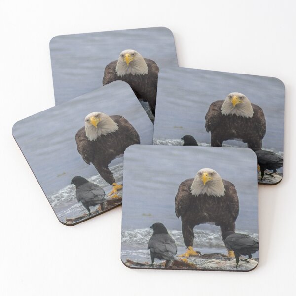 Item preview, American Bald Eagle designed and sold by YelloCoyote Photography.