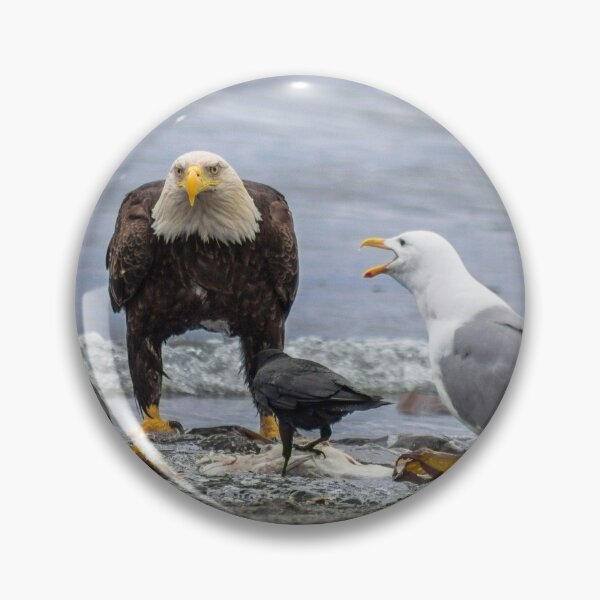 Item preview, American Bald Eagle designed and sold by YelloCoyote Photography.