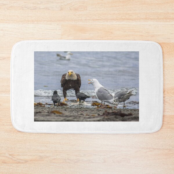 Item preview, American Bald Eagle designed and sold by YelloCoyote Photography.