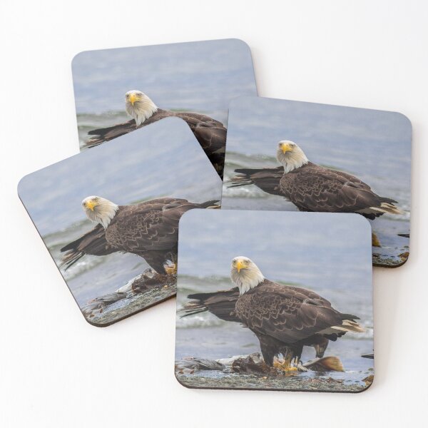 Item preview, American Bald Eagle designed and sold by YelloCoyote Photography.
