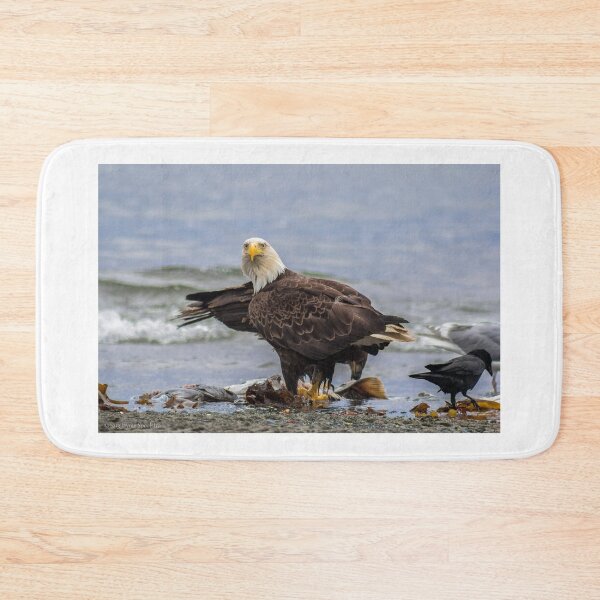 Item preview, American Bald Eagle designed and sold by YelloCoyote Photography.