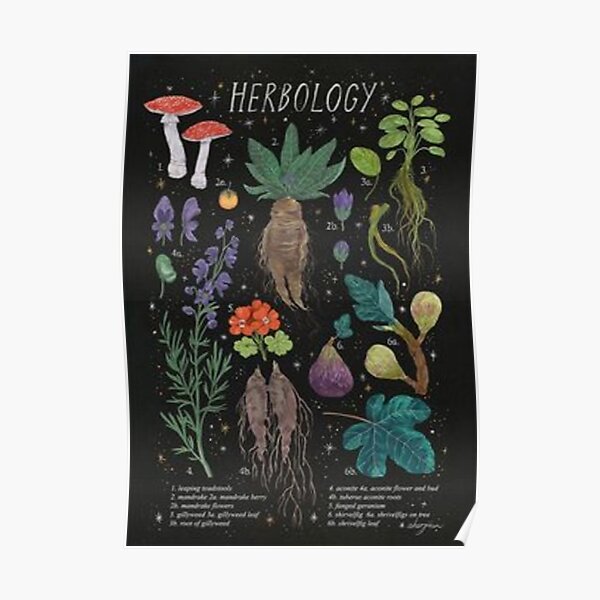 HERBOLOGY Poster