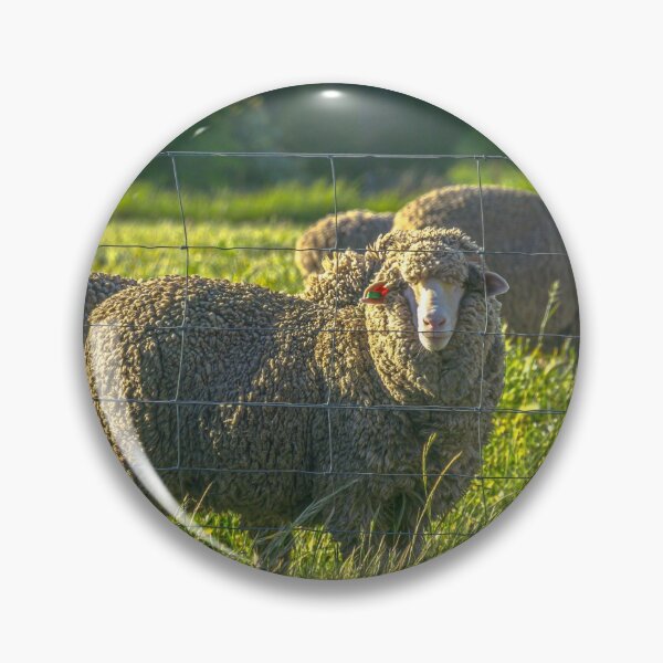 Item preview, Sheep by the Fenceline in Redesdale designed and sold by Steven Jodoin.