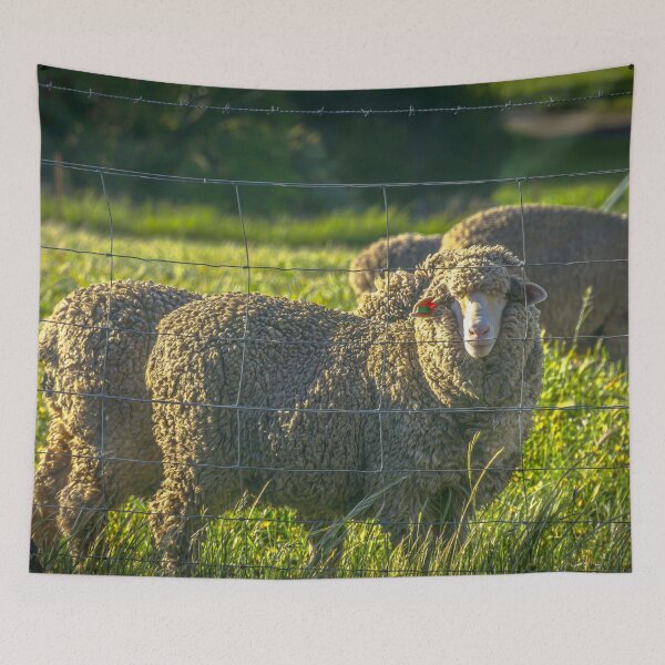 Item preview, Sheep by the Fenceline in Redesdale designed and sold by Steven Jodoin.