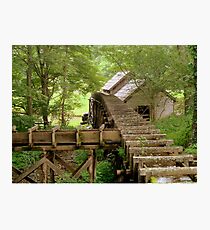 Deep in the Woods.......^ Photographic Print