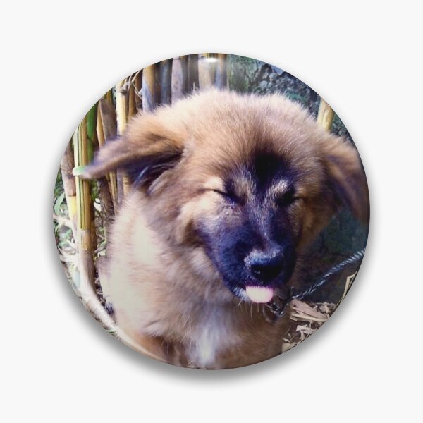 Item preview, Adorable Puppy Sneezing  designed and sold by Sofia Yaron.