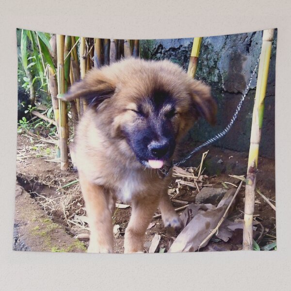 Item preview, Adorable Puppy Sneezing  designed and sold by Sofia Yaron.