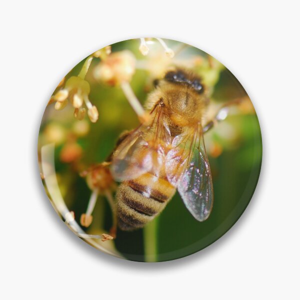 Item preview, Bee Love Flowers | Insect Photo designed and sold by PhotoStory.