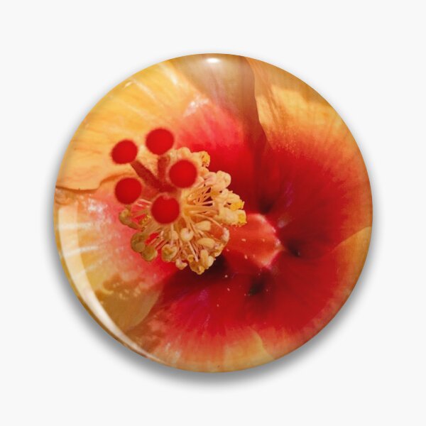 Artikelvorschau, Ganz nah leuchtend gelbe Hibiskusblüte entworfen und verkauft von Sofia Yaron.