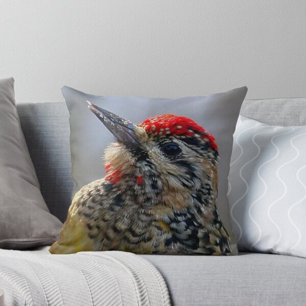 Aperçu de l'œuvre Yellow bellied Sapsucker créée et vendue par Enola Gay Wagner.
