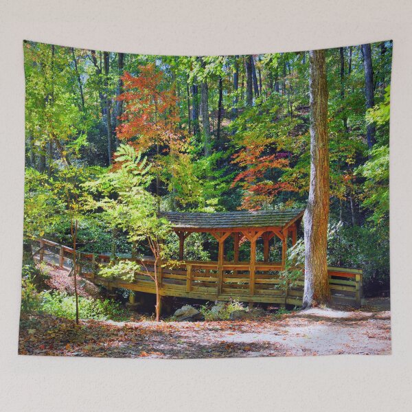 Item preview, Stumphouse Tunnel Park designed and sold by Savannah Gibbs.