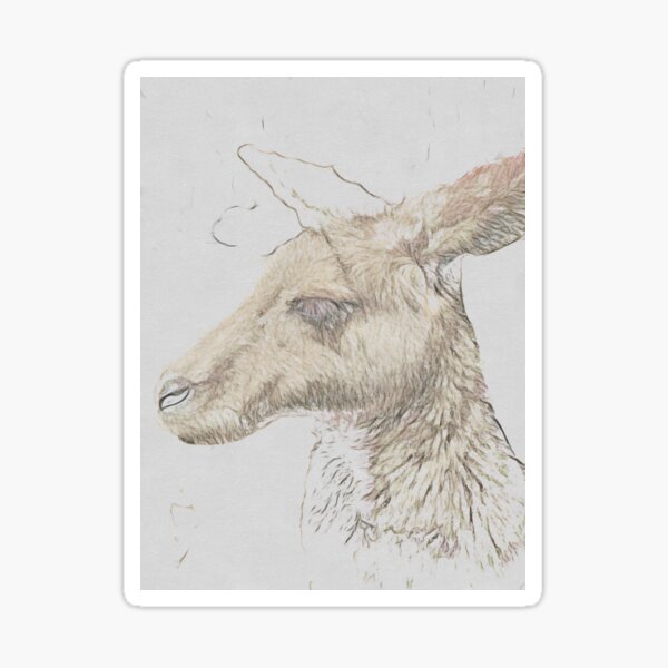 Item preview, Young Red Kangaroo Watercolor Sketch designed and sold by KoruChip.