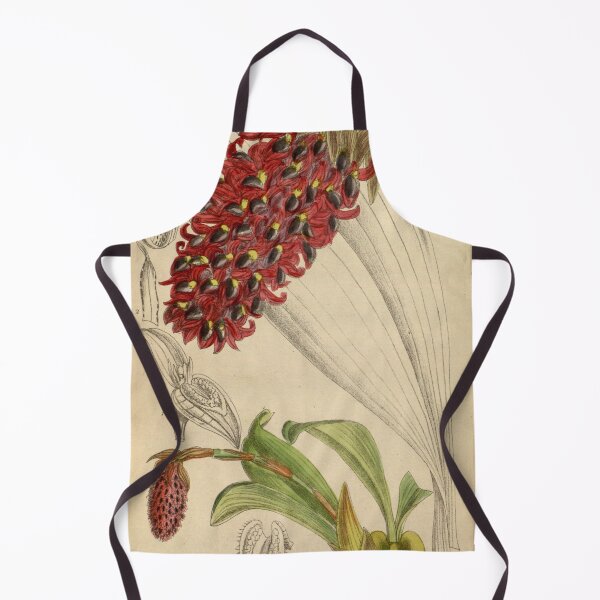 Item preview, Bulbophyllum hamelinii 144 8785 designed and sold by EsotericBotanic.
