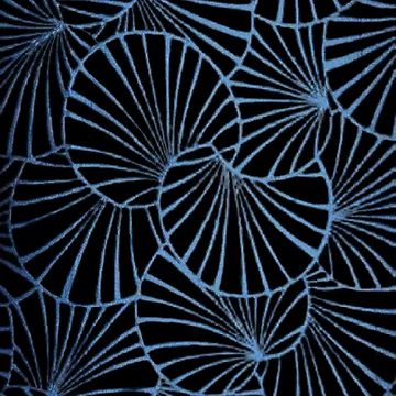 Artwork thumbnail, Shell pattern by John83