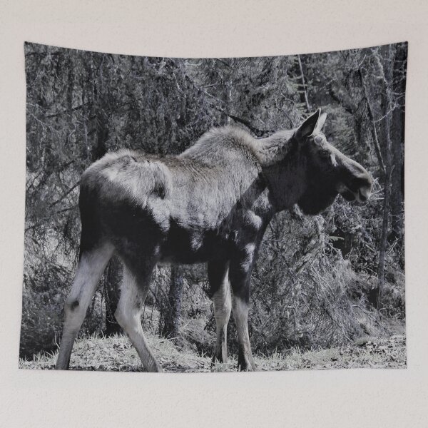 Item preview, A Young Bull Moose (B&W) designed and sold by CloverleafArts.