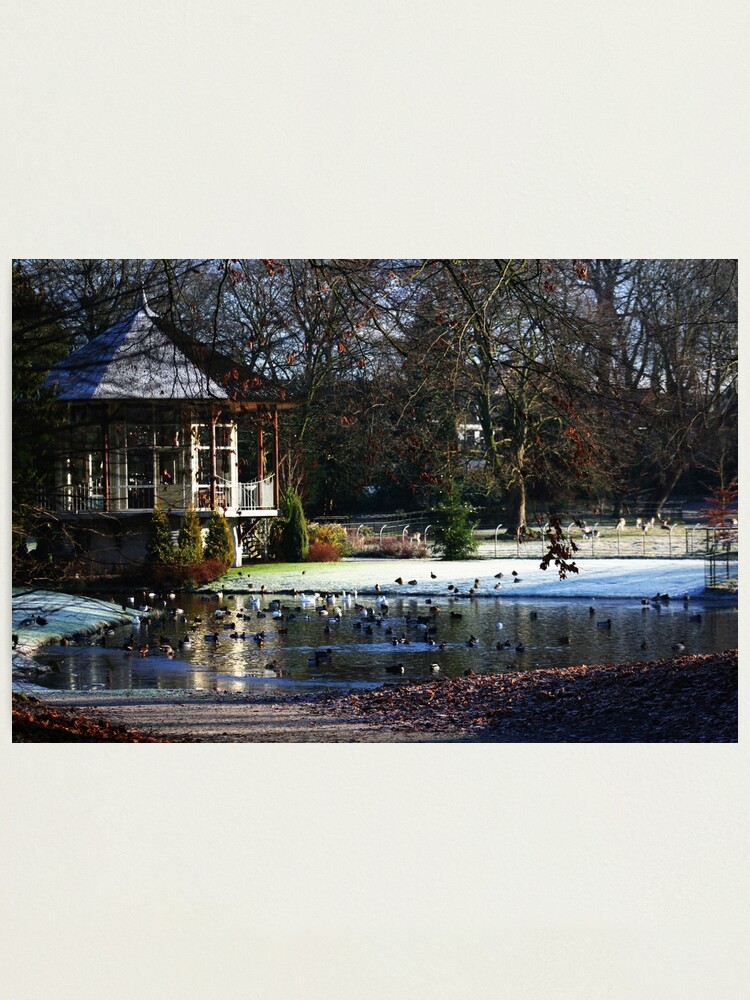 Alternate view of Rams Woerthe Tea House Photographic Print