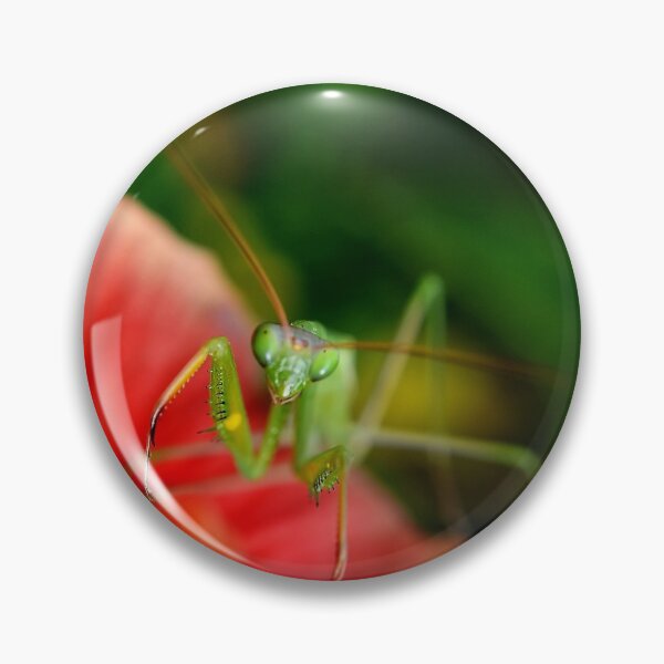 Item preview, paying mantis on red flower designed and sold by michelle meenawong.