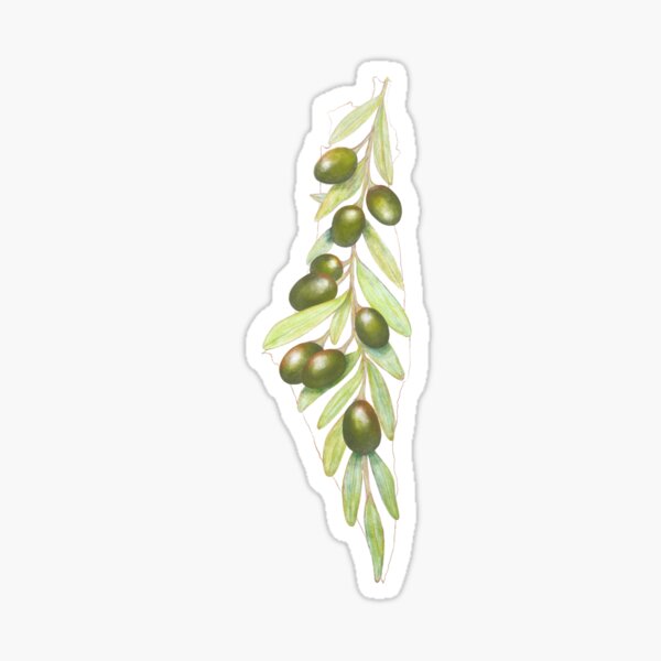 Item preview, Free Palestine - Palestinian Green Olives Map designed and sold by Serenesart.