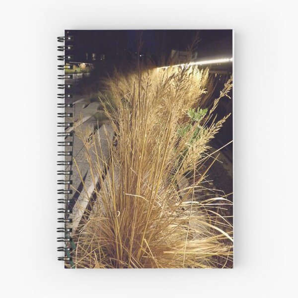 Item preview, High Line, Night View, New York City's Elevated Garden and Park designed and sold by lenspiro.