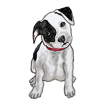 Cute Black and White Puppy with Patch Eye Sticker for Sale by