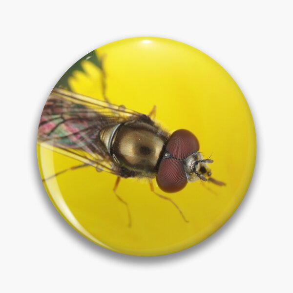Item preview, Hoverfly on dandelion designed and sold by SDym Photography.