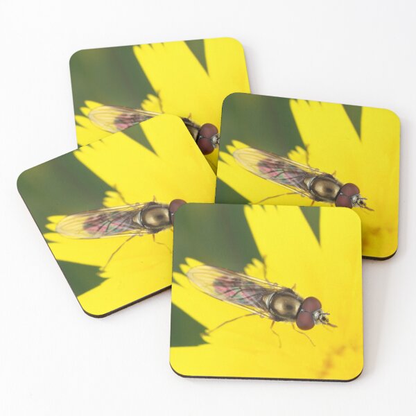 Item preview, Hoverfly on dandelion designed and sold by SDym Photography.
