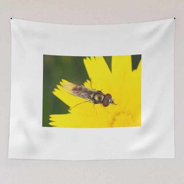 Item preview, Hoverfly on dandelion designed and sold by SDym Photography.