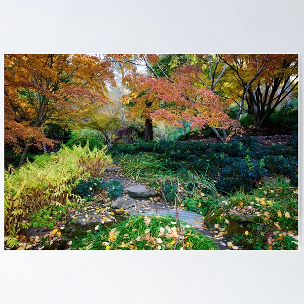 Item preview, Autumn Garden designed and sold by Ray's Photos & Art.
