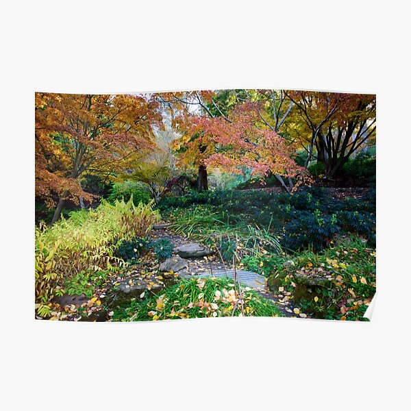 Autumn Garden Poster