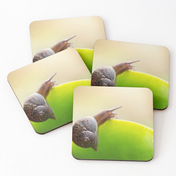 Item preview, New heights designed and sold by Melissa Dickson.