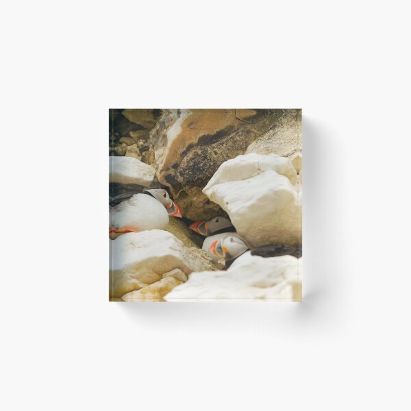 Item preview, NO ROOM designed and sold by andrewsaxton.