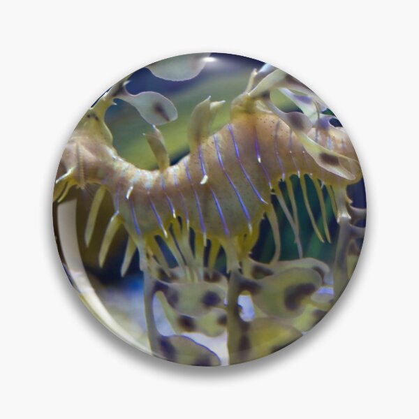 Artikelvorschau, Leafy Sea Dragon entworfen und verkauft von Marylou Badeaux.